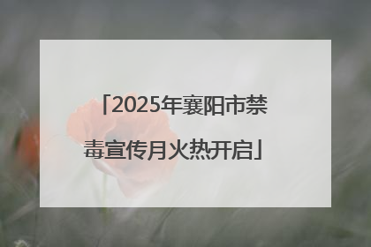2025年襄阳市禁毒宣传月火热开启
